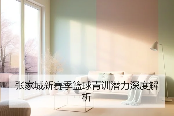 张家城新赛季篮球青训潜力深度解析